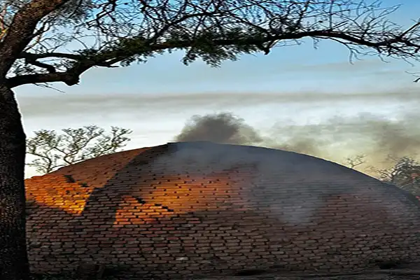 Proceso de carbonización eficiente